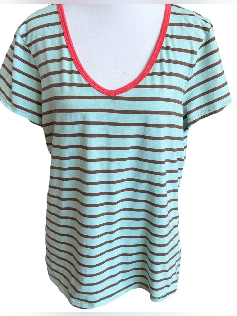 HORNY TOAD Aqua + Brown Striped V-Neck Short Sleeve Summer Outdoor Tee Shirt L